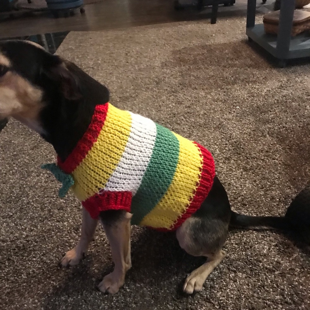 Boutique: Hand knit small dog sweater with bow tie